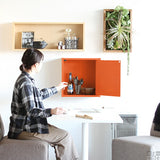 ウォールシェルフ 扉付き | WallBox7-DX D 単品M aino