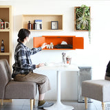 ウォールシェルフ 扉付き | WallBox7-DX E 単品S aino