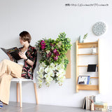 光触媒 壁掛け アートパネル | Botanical c.class 29