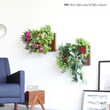 人工観葉植物 ウォールグリーン | Botanical c.class 28