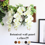 光触媒 壁掛け アートパネル | Botanical c.class 29