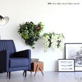 光触媒 壁掛け アートパネル | Botanical c.class 29