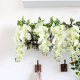 光触媒 壁掛け アートパネル | Botanical c.class 29