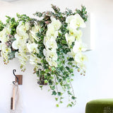 光触媒 人工観葉植物 | Botanical c.class 30