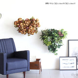 フェイクグリーン 壁掛け 光触媒 | Botanical c.class 31