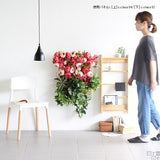 アートパネル 光触媒 観葉植物 | Botanical c.class 32