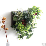 アートパネル 光触媒 観葉植物 | Botanical c.class 32