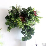 アートパネル 光触媒 観葉植物 | Botanical c.class 32