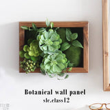 光触媒 壁掛け アートパネル | Botanical slc.class 12