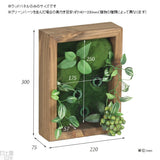 光触媒 壁掛け アートパネル | Botanical slc.class 12