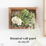 人工観葉植物 ウォールグリーン | Botanical slc.class 24