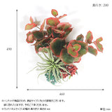 人工観葉植物 ウォールグリーン | Botanical EQ.class 01