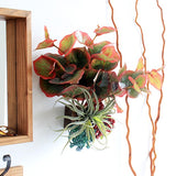 人工観葉植物 ウォールグリーン | Botanical EQ.class 01