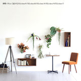 観葉植物 フェイク | Botanical EQ.class 03