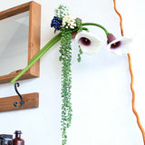 観葉植物 フェイク | Botanical EQ.class 03