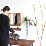 観葉植物 フェイク | Botanical EQ.class 03