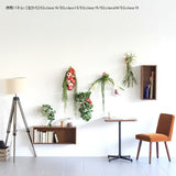 アートパネル 光触媒 観葉植物 | Botanical EQ.class 13