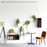 壁掛け アートパネル | Botanical EQ.class 07