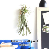 壁掛け アートパネル | Botanical EQ.class 10