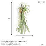 壁掛け アートパネル | Botanical EQ.class 10