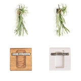 壁掛け アートパネル | Botanical EQ.class 10