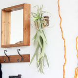 壁掛け アートパネル | Botanical EQ.class 10