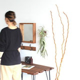 壁掛け アートパネル | Botanical EQ.class 10