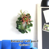 フェイクグリーン 壁掛け 光触媒 | Botanical EQ.class 11