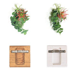 フェイクグリーン 壁掛け 光触媒 | Botanical EQ.class 11