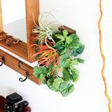 フェイクグリーン 壁掛け 光触媒 | Botanical EQ.class 11