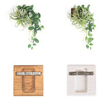 観葉植物 フェイク | Botanical EQ.class 14