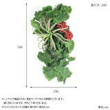 光触媒 壁掛け アートパネル | Botanical EQ.class 15