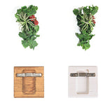 光触媒 壁掛け アートパネル | Botanical EQ.class 15