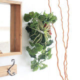 光触媒 壁掛け アートパネル | Botanical EQ.class 15