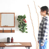 光触媒 壁掛け アートパネル | Botanical EQ.class 15