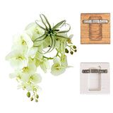 フェイクフラワー 壁掛け 光触媒 | Botanical EQ.class 18