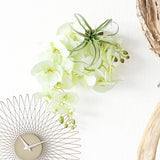 フェイクフラワー 壁掛け 光触媒 | Botanical EQ.class 18