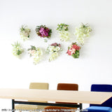 壁掛け アートパネル | Botanical EQ.class 21