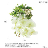 光触媒 壁掛け アートパネル | Botanical EQ.class 20