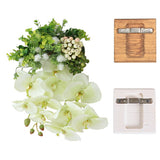 光触媒 壁掛け アートパネル | Botanical EQ.class 20