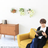 光触媒 壁掛け アートパネル | Botanical EQ.class 20