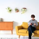 人工観葉植物 ウォールフラワー | Botanical EQ.class 22