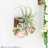 光触媒 壁掛け アートパネル | Botanical EQ.class 25