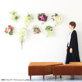 光触媒 壁掛け アートパネル | Botanical EQ.class 25