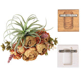 光触媒 人工観葉植物 | Botanical EQ.class 26