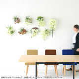 光触媒 人工観葉植物 | Botanical EQ.class 26