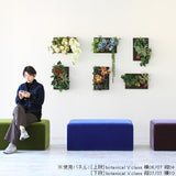 壁掛け 植物 ホテル | Botanical v.class 01