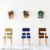 造花 胡蝶蘭 パネル | Botanical v.class 06