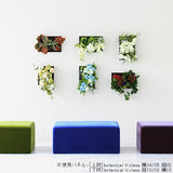 アートパネル 防汚 エアプランツ | Botanical v.class 05