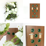 アートパネル 防汚 エアプランツ | Botanical v.class 05